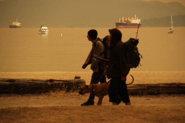 Travellers at the Beach