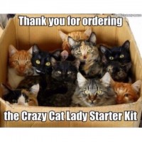 The Crazy Cat Lady Starter Kit! – Get Your’s Today…