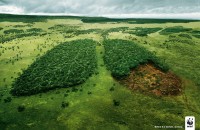 Earth’s Environmental Health… Are We Making the Right Choices?